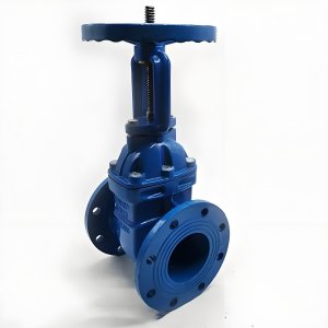 手動(dòng)閘閥Z41T-16 DN50/DN65廠家直銷(xiāo)，上海發(fā)
