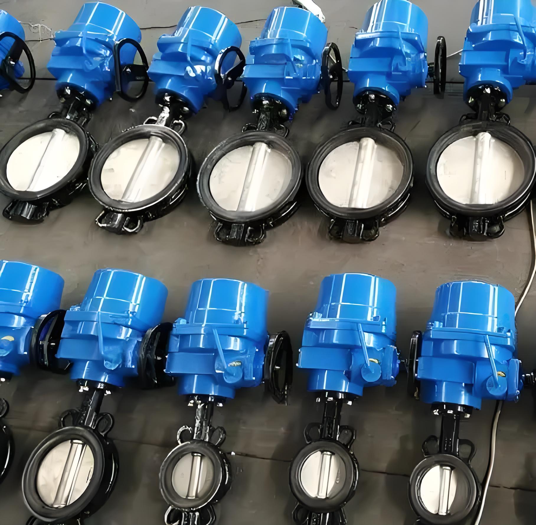 對夾蝶閥
